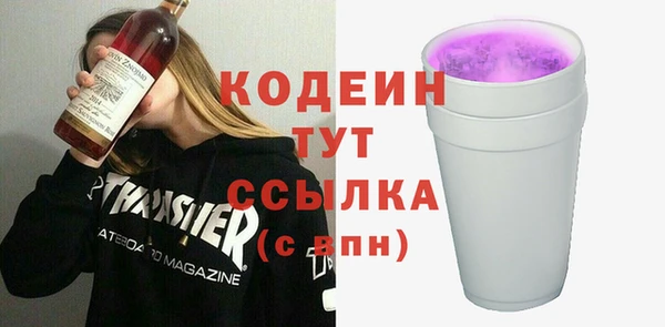 шишки Сосновый Бор