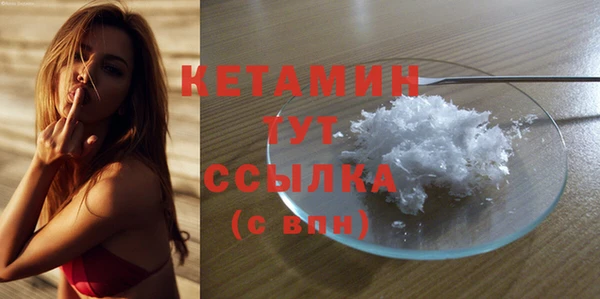 шишки Сосновый Бор